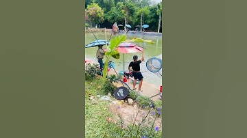 Hồ câu cá giải trí đại hoàng gia vĩnh tân TP tân uyên bình dương #shorts #short