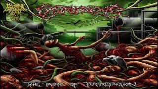 Gastrorrexis. The Taste of Putrefaction. Full album.