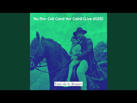 Nu Mor Caii Cand Vor Cainii Live 2025 