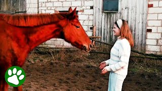 Ukrainian Girl’s Beautiful Reunion With Horse