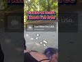 Woman Attacks 73-Year-Old Man Over MAGA Hat