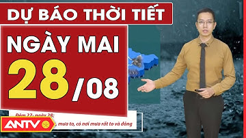 Dự báo thời tiết ngày mai 28/8: Hà Nội kết thúc nắng nóng, TP. HCM mưa rải rác | ANTV