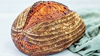 Easy Gluten Free Sourdough 2.0 (Crispy Crust ✔️Pillowy Interior ✔️)