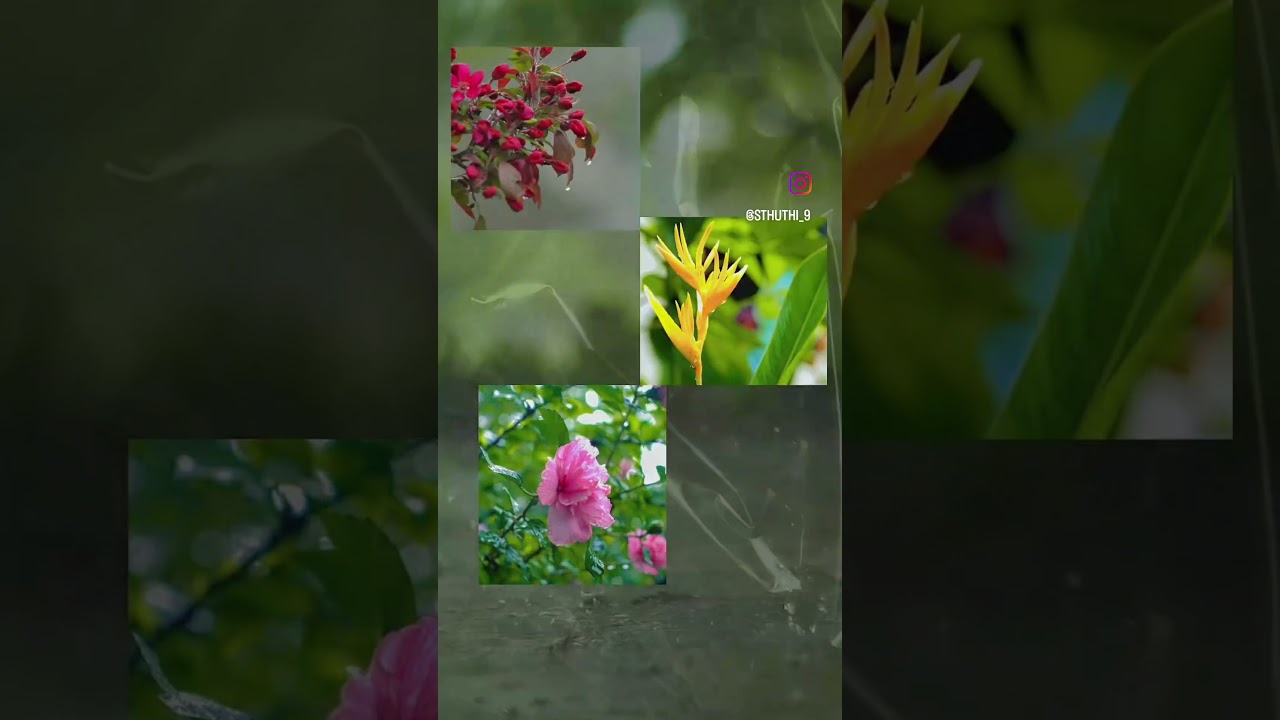 Why views matter for peace 