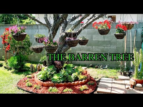 HOW TO CREATE A SIMPLE LANDSCAPING IN THE BARREN TREE - YouTube