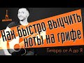 Как быстро выучить ноты на грифе и зачем ) #ГитараОтАдоЯ №21