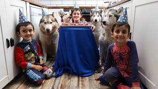 A Husky Birthday Party Letty Mileena Turn 7 Kalebs 4Th Birthday Life With Huskies Vlog