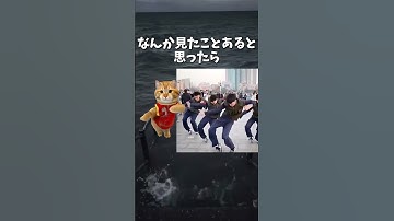 【衝撃】ナルトダンスって実は猫ミーム時代からあったんだ… #shorts #ナルトダンス #猫ミーム