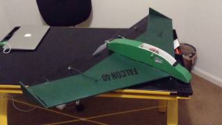 Falcon 40 RC Delta Wing