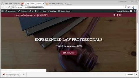 Beaver Custom Header | Simple Header with Logo & Menu