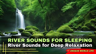 River Sounds For Sleeping 💫 Nature Melodies, Magical ASMR Nature River Vibes for Dreamy Slumber