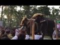 Baahubali elephant Chirakkal Kalidasan Vs Mangalamkunnu Ayyappan @ Chakkumarassery Thalapokkam Fight