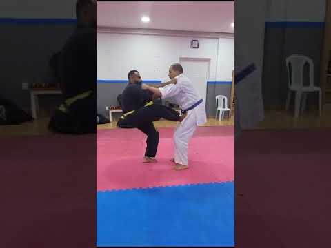 Shidokan Jitsu throw