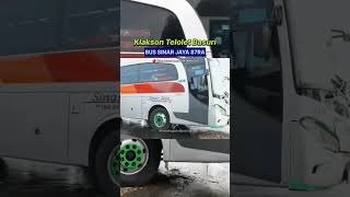 Telolet Basuri Bus SINAR JAYA #teloletbasuri #telolet #shorts