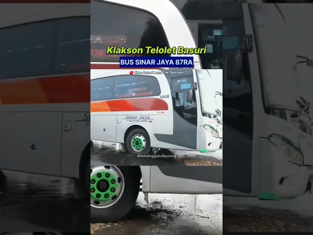 Telolet Basuri Bus SINAR JAYA #teloletbasuri #telolet #shorts class=