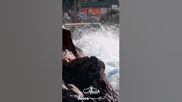 اللهم انصر المجاهدين في سبيلك. #تلاوات_جميلة #تلاوات_قصيرة #قران_كريم_بصوت_جميل_جدا #تلاوة_هادئة