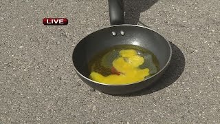 Attempting to cook egg in parking lot -- Part 2