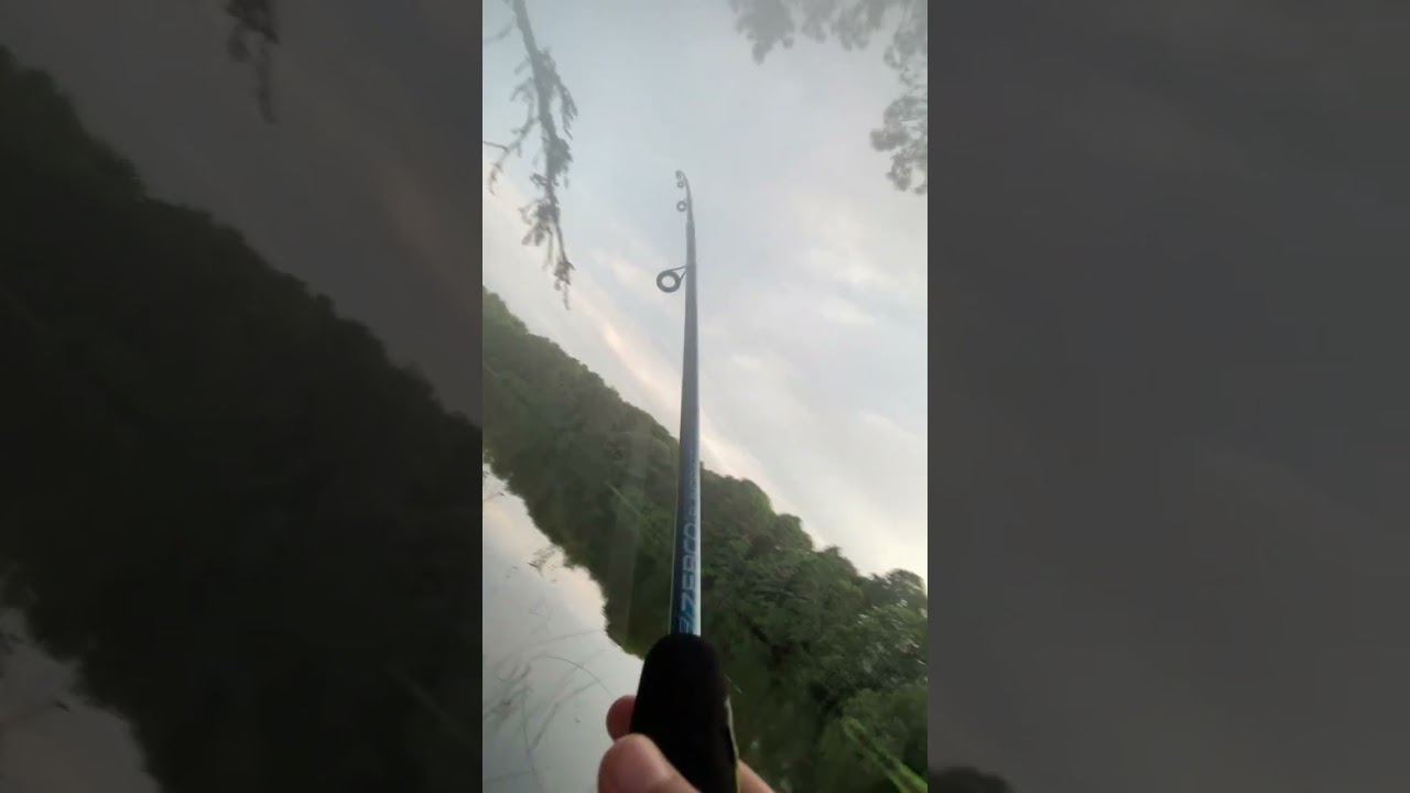 Bass fishing with new rod (fishing disaster)