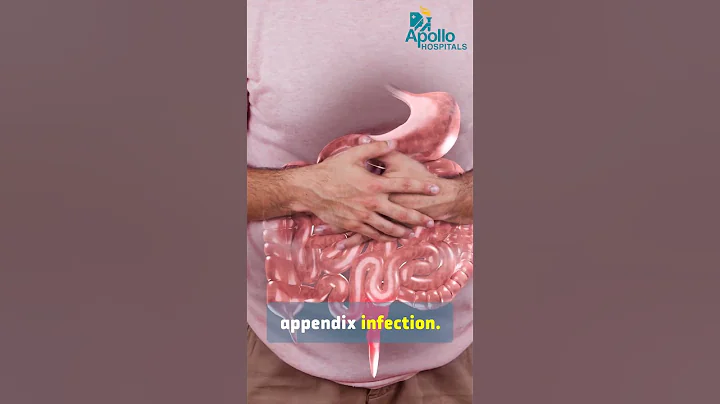 Understanding White Blood Cell Count: What Your WBC Levels Mean for Your Health