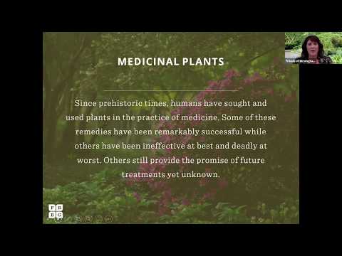 Video: Používanie živých rastlín v nemocniciach: Získajte informácie o rastlinách s liečivými vlastnosťami