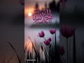Quran Urdu translation surah #youtubeshosts #quranictranslation #motivation #history #duet #quotes