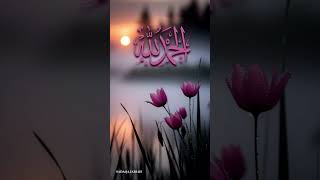 Quran Urdu translation surah #youtubeshosts #quranictranslation #motivation #history #duet #quotes