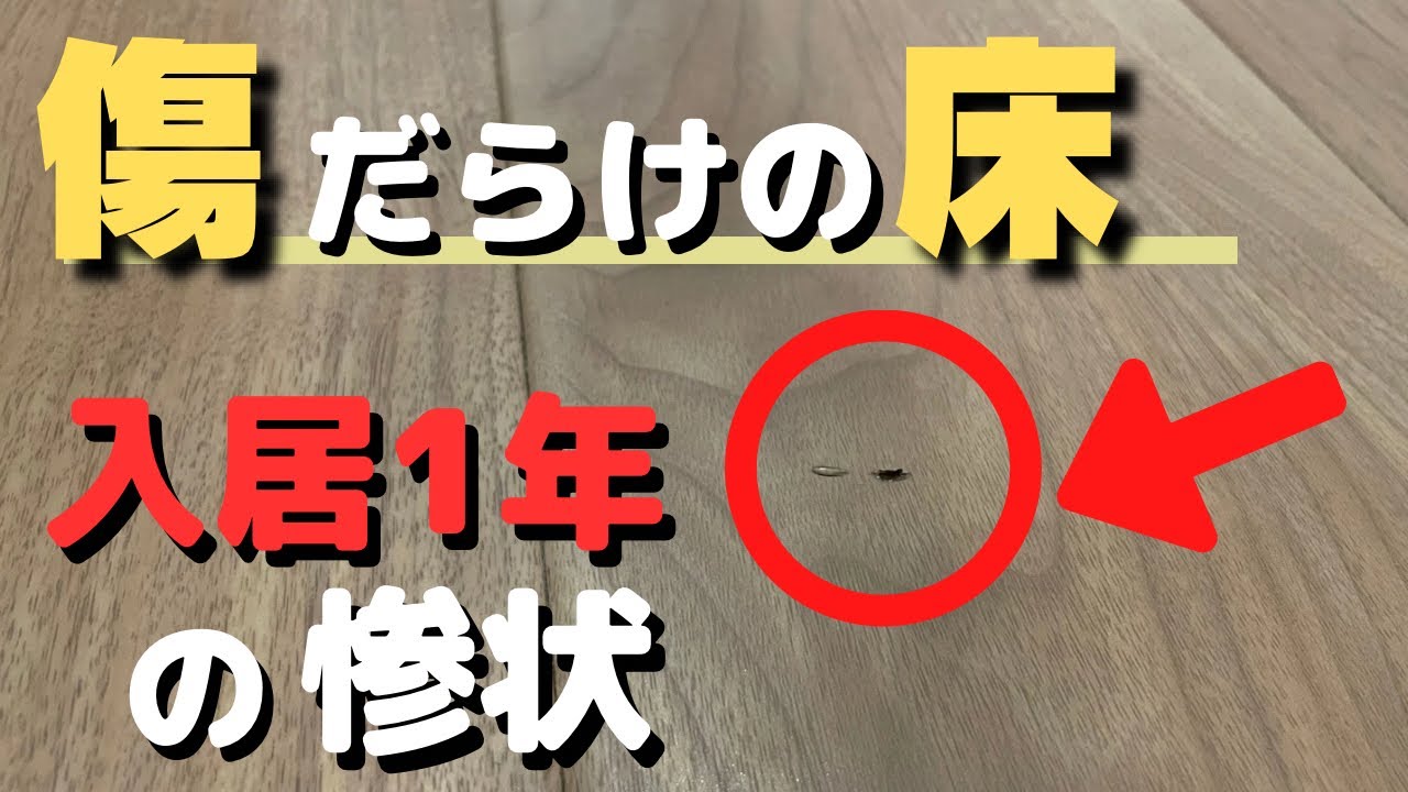 ひゅうま、一条に住まう。のYouTube動画: 一条工務店の床材は傷つきやすい？エコプロコートの新サービスとは？【フローリング/フロアコーティング/森のしずく/新築一戸建て】