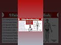 9 pulse sites #medicaleducation