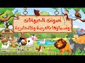 أصوات الحيوانات للأطفال باللغة العربية والإنجليزية       