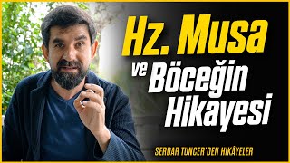 Hz Musa Ve Böceğin Hikayesi - Serdar Tuncer