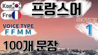 프랑스어 / Section [01] Type F F M M / 짧고 쉬운 100문장 연속 듣기 / 프랑스어 동영상과 음성을 보고 들으면서 크게 따라 읽어보세요!