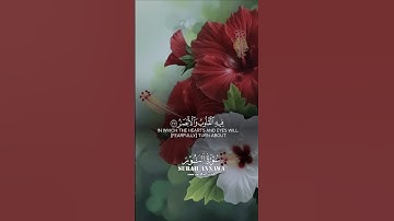 تلاوة عطرة لآيات بينات من سورة النور#بسم_الله_الرحمن_الرحيم #قرآن_كريم