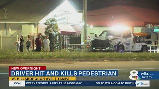 Pedestrian hit, killed on Hillsborough Ave. in Tampa