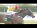 Christchurch Casino New Zealand Trotting Cup 2010 ...