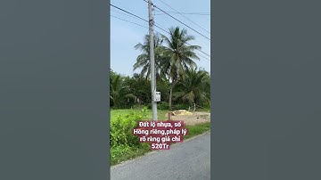 Đất nền đường ô tô, 7*18 giá 520tr Xã Long Vĩnh,Gò Công Tây,Tiền Giang #shorts #nhadat #bds #mientay