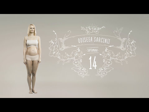 Video: Gravidă în 14 Săptămâni