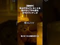 【切り抜き】【関西弁】気分が沈んでいることを隠す甘え下手な君を甘やかすシチュボ #ASMR #シチュエーションボイス #女性向けボイス #Shorts