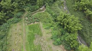 台南關廟超低價15甲優美農牧用地