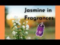 Joyful Jasmine in Fragrances: Sweet, Opulent, Versatile, Floral Gorgeousness