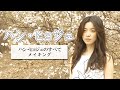 ハン・ヒョジュ　ムック本「ハン・ヒョジュのすべて」