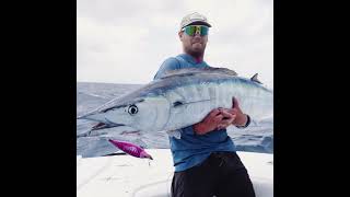 High Speed Wahoo Trolling Lures & Techniques with Captain Darren Dorri –  Nomad Tackle