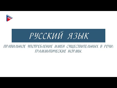 6 класс - Русский язык - Правильное употребление имён существительных в речи: грамматические нормы