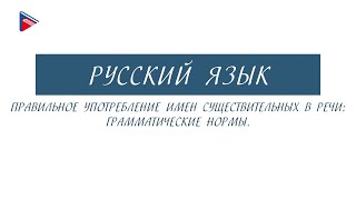 6 класс - Русский язык - Правильное употребление имён существительных в речи: грамматические нормы