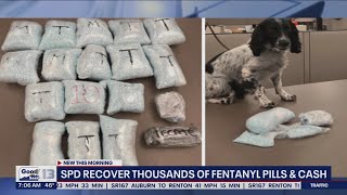 SPD Recovers thousands of fentanyl pills, cash | FOX 13 Seattle