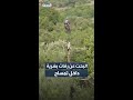 رويترز تنشر لقطات فريدة لعملية نقل شرطي جوا مع تمساح تم إعدامه إثر هجومه وابتلاعه شخصا في نهر كوماتي