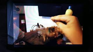 Savage Oobi! Clip - Oobi gets his Xbox taken away