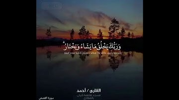 هدوء وسكينة من تراويح رمضان | 1443 - سورة القصص