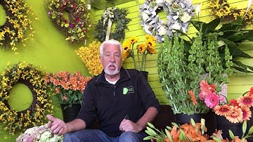 The Elements of Floral Design  Lesson #1   LINE