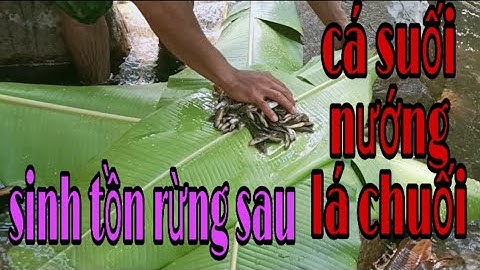 Cá suối nướng lá chuối nướng cực ngon không cưỡng nổi|life on the watershed