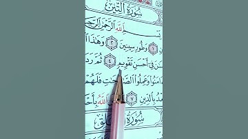 ﷽: سورة التين والزيتون _سعد الغامدي